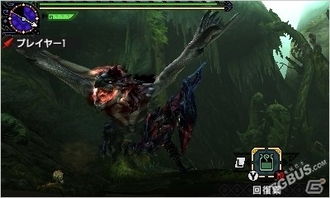 金火龙招式解析+实战攻略，崛起怪物猎人高效打法揭秘