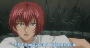 揭秘立海大！网球王子中的传奇学校魅力解析