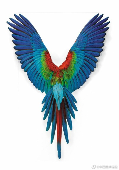 美味鸟翅膀,最简单的方法在这里？