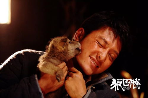 《羊蹄山之谜》揭秘：女主复仇传奇，家族悲剧真相大曝光！