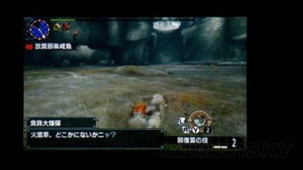 《怪物猎人X》猫猎人攻略：深度解析猫探险队系统与独家技巧揭秘