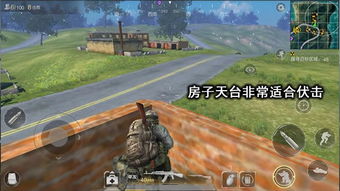 DayZ武器攻略：全面解析独立版武器库，深度揭秘实战技巧