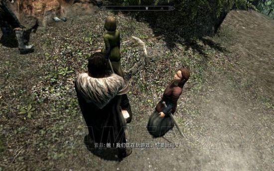 《上古卷轴5》生存攻略揭秘：深度解析游戏细节与生存技巧必备