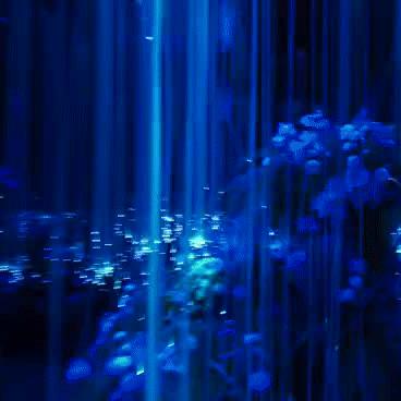 美女餐厅下载：经营你的梦幻餐厅，邂逅美丽女孩！