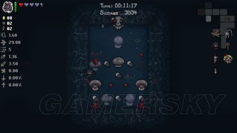 《以撒的结合胎衣》盘点：被动道具全解析，解锁游戏新境界