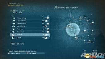 《合金装备5幻痛》全收集攻略：武器蓝图发票贴纸高效解锁技巧揭秘