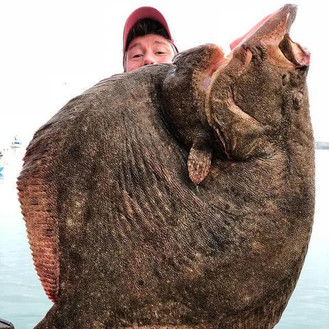 单机版捕鱼达人无限金币版,虚拟海洋的奇幻之旅 单机版捕鱼达人无限金币版,虚拟海洋的奇幻之旅