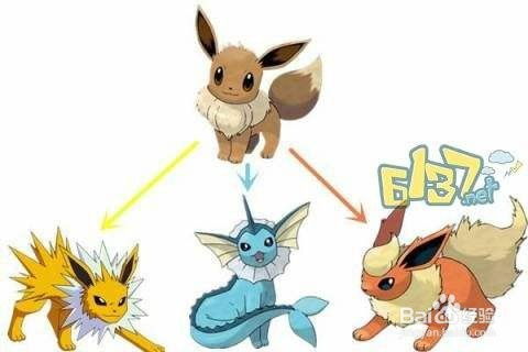 伊布进化全解析：从伊布到八种进化形态的演变过程