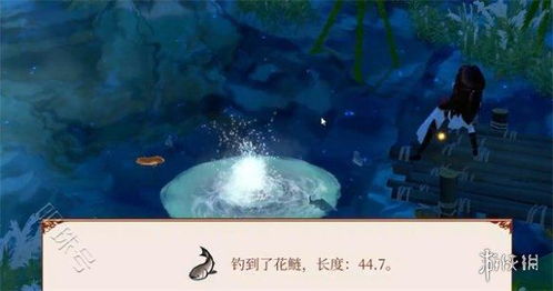 《一方灵田》钓鱼攻略：揭秘灵田钓鱼技巧，轻松捕获珍稀鱼儿