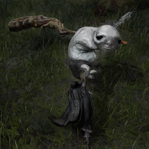 《艾尔登法环》宁姆格福全NPC支线攻略：详尽位置与任务解析攻略指南