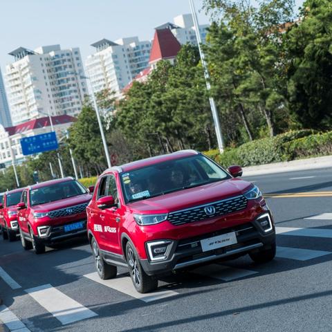 太平洋cs,你最期待哪支战队？