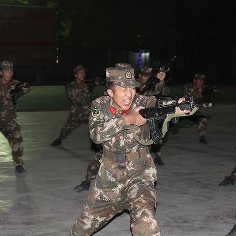 绝地求生机瞄射击绝招，精准准星设置技巧大揭秘