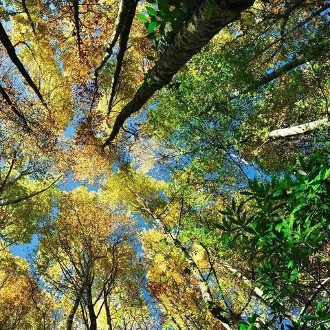 绝地求生沙漠地图快速定位技巧，高效发现敌人新攻略