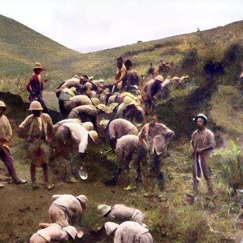 《侵略行为》兵种建筑解析:揭秘各阵营独特建筑策略与优势 《侵略行为》兵种建筑解析:揭秘各阵营独特建筑策略与优势