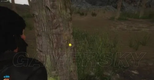 《逆境求生》画面解析+合成系统体验：深度试玩，探索生存乐趣！