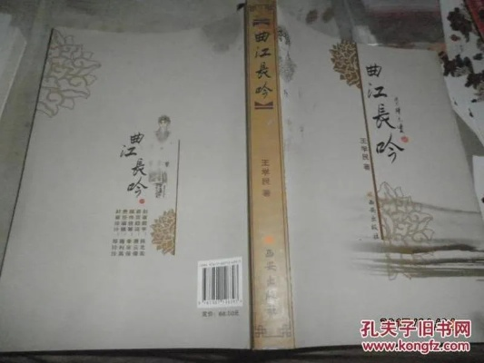 岐山传2.0,一个王加民读什么 岐山传2.0,一个王加民读什么