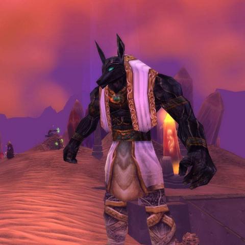 魔兽世界服务端(可以卖我的装备吗) 魔兽世界服务端(可以卖我的装备吗)