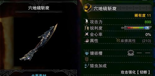 曙光吸血物理虫棍配装攻略，崛起猎人必备技巧解析