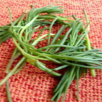 人人网植物大战僵尸（你曾经用什么策略成功过关）