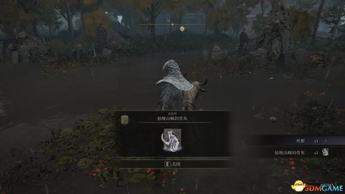 《艾尔登法环》1.03小壶攻略：解锁隐藏支线奖励，必看秘籍！