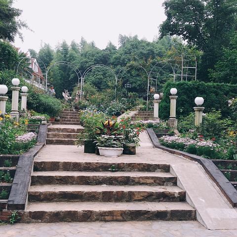 《山海旅人》奇花异草全收集攻略：高效秘籍解锁珍稀植物宝藏