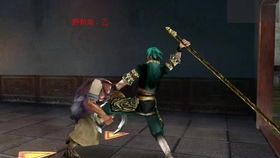 《流星蝴蝶剑》皇天城轻松通关秘籍：无需大招，高效攻略大揭秘