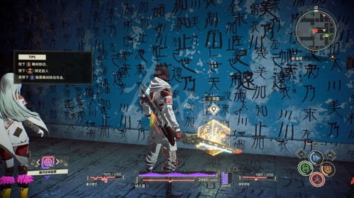 揭秘《绯红结系》神秘文书：高效收集攻略助你轻松解锁知晓过去者奖杯