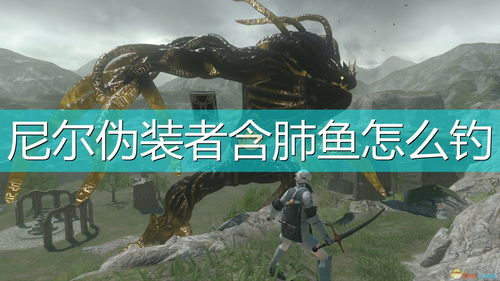 《尼尔伪装者》钓鱼攻略:揭秘鱼类分布与高效鱼饵选择 《尼尔伪装者》钓鱼攻略:揭秘鱼类分布与高效鱼饵选择