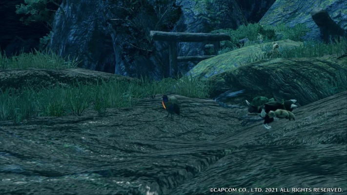 《怪物猎人崛起》稀有生物全攻略：揭秘崛起环境下的狩猎秘籍