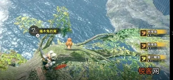 《怪物猎人崛起》开荒必备!掌握这些技巧轻松升级 《怪物猎人崛起》开荒必备!掌握这些技巧轻松升级