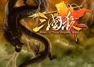 三国杀在线,三国杀里ol是什么意思