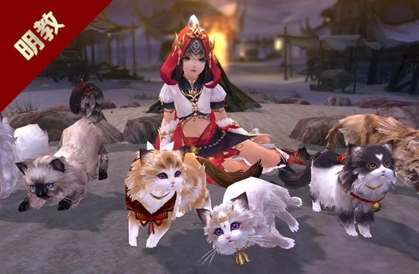 通过明教圣猫的考验,怎么提升通过率