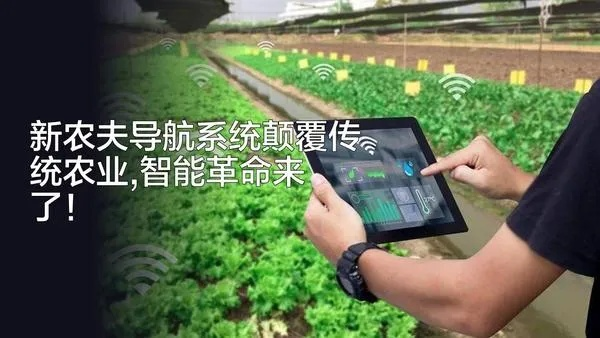 农夫最新导航,哪个平台最安全？