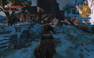 《巫师3》套装图纸攻略：独家解析各学派图纸获取技巧