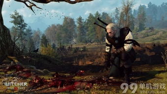 《巫师3》最强武器攻略：快速获取方法详解