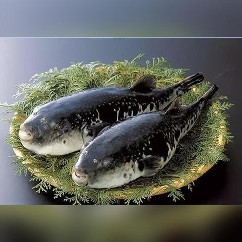 祥和之灵有什么用,还能帮装备恢复活力吗