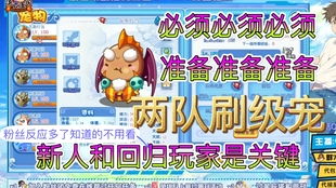 洛克王国怎么快速升级（刷级大队真的有效吗）