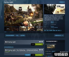 《消逝的光芒》Steam中文成就攻略汇总，深度解析必看技巧