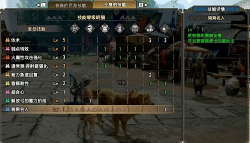 曙光弓箭物理配装攻略揭秘：崛起必备高效装备搭配技巧