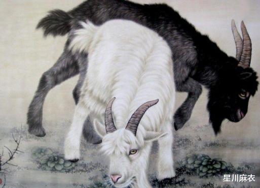 羊教授之吻,羊教授之吻如何秒杀对手？