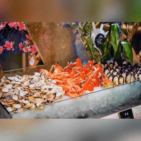 剧情动画，黑暗幻想世界的视听盛宴