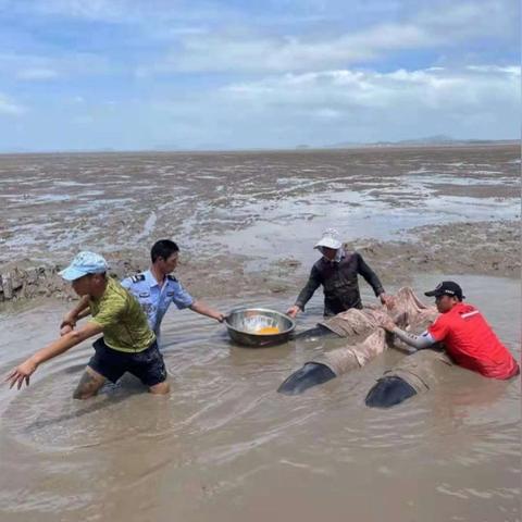 《死亡搁浅》全存储芯片攻略：高效收集技巧揭秘攻略