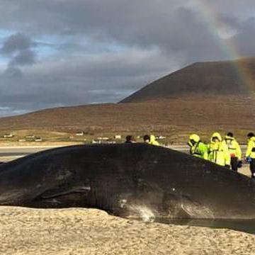 《死亡搁浅》全攻略揭秘：主线任务+支线攻略深度解析，解锁隐藏秘籍！