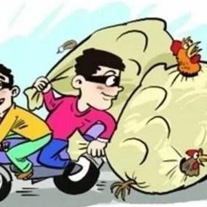 松木的力量,你准备好了吗? 松木的力量,你准备好了吗?