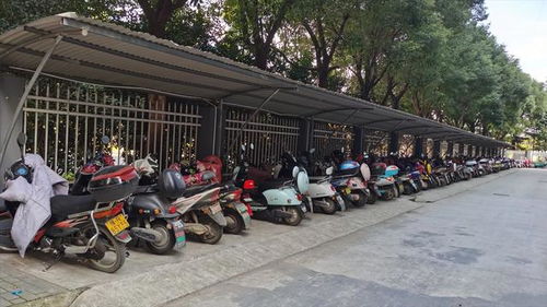 电车之狼vr去马赛克,电瓶车50码相当于汽车多少码