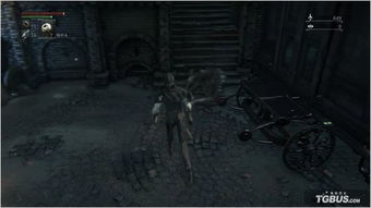 血源新手必看!初期图文攻略+实战技巧解析,快速上手攻略指南 血源新手必看!初期图文攻略+实战技巧解析,快速上手攻略指南