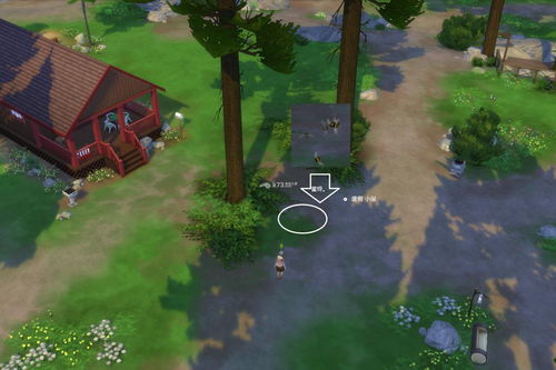 《模拟人生4》露天度假药剂昆虫攻略，轻松收集技巧大揭秘！