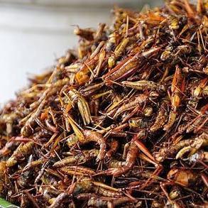 《奇异人生》全收集剧情攻略：完美分支选择解析，深度揭秘！