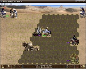 烈火神盾魔法攻略：揭秘英雄无敌3核心技能新突破