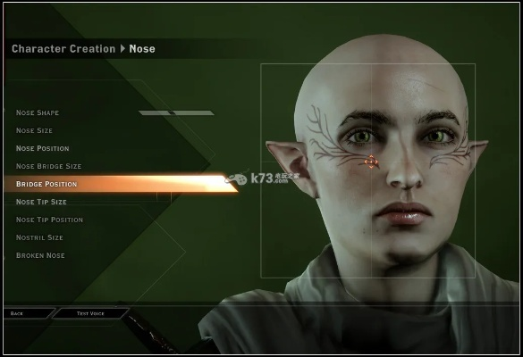 《龙腾世纪:审判》捏脸攻略:龙母角色定制技巧大揭秘! 《龙腾世纪:审判》捏脸攻略:龙母角色定制技巧大揭秘!